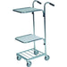 SLINGSBY Mini Mail Trolley with 2 Shelves 402796 Steel Silver 109 x 38.5 x 109 cm