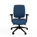 Knee Tilt Task Office Chair 2D Arms Ergonomic Home Blue Seat Medium Back