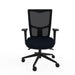 Ergonomic Home Office Chair with Slimline Mesh Backrest and Height Adjustable Black 2D Arms