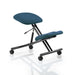 Dynamic Kneeling Stool Without Arms Kneeler Maringa Teal Seat, Black Frame Without Headrest Medium Back