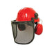 Forestry Helmet Kit YS-4SH-3MZ-5FB-20