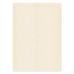 PREMIUM Business Photo Paper 120 gsm Beige Pack of 250