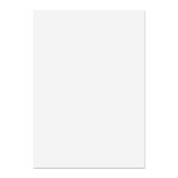 PREMIUM Business Photo Paper White Pack of 100