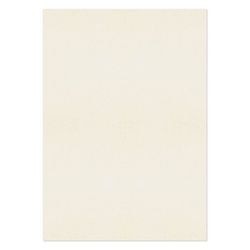 PREMIUM Business Photo Paper 120 gsm Cream Pack of 250