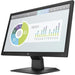 HP Display 5RD66AA/P204v 50.8 cm (20")