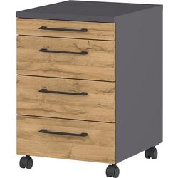 GERMANIA Mobile Pedestal 4251-564 Oak Grandson-oak repro, Graphite 420 x 490 x 610 mm