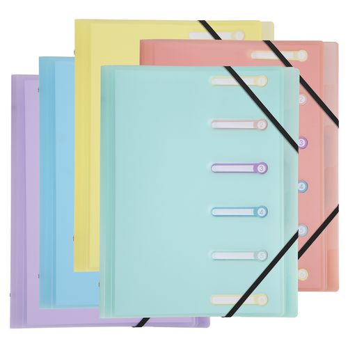 Exacompta Multipart File Special format Blank PP (Polypropylene) 6 Part Assorted 56170E 25 (W) x 32 (H) cm Pack of 5