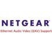 EAV SW LICENSE GS724TV4 *** NETGEAR Non-Physical Order Processing Form Required ***