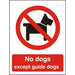 Prohibition Sign No Dogs Plastic 30 x 20 cm