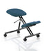 Dynamic Kneeling Stool Without Arms Kneeler Maringa Teal Seat, Black Frame Without Headrest Medium Back