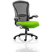 Dynamic Synchro Tilt Heavy Duty Chair Height Adjustable Arms Houston Heavy Duty Black Back, Myrrh Green Seat High Back