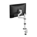 Neomounts DS60-425WH1 - Mounting kit (articulating arm) - full-motion - for Monitor - steel - white - screen size: 17"-27" - desk-mountable