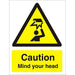 Warning Sign Mind Your Head Vinyl 30 x 20 cm