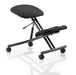 Dynamic Basic Tilt Task Operator Chair Without Arms Kneeling Stool Bergamot Cherry Back, Silver Frame Without Headrest Medium Back