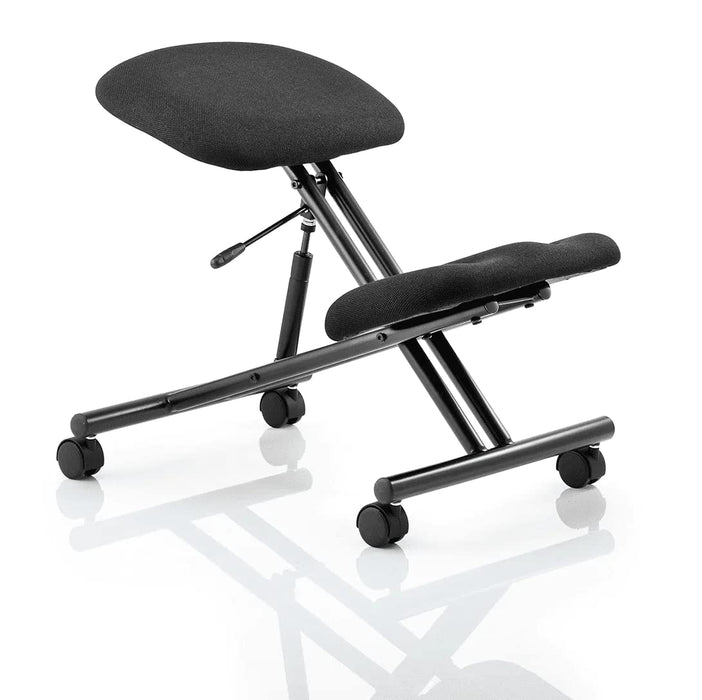 Dynamic Task Operator Chair Without Arms Kneeler Ginseng Chilli Seat, Silver Frame Without Headrest Medium Back