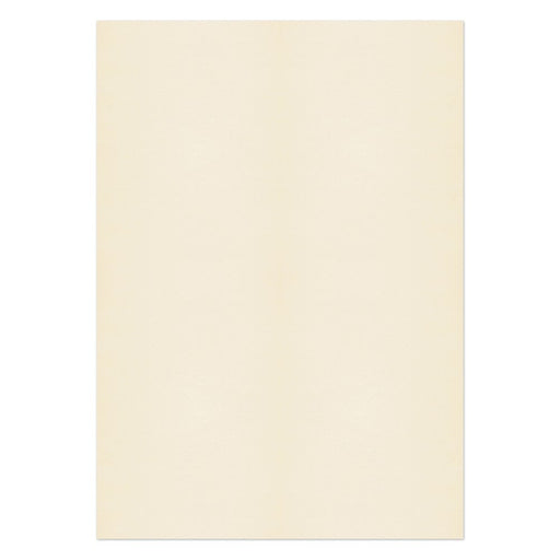 PREMIUM Business Photo Paper 120 gsm Beige Pack of 250