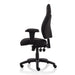 Dynamic Synchro Tilt Posture Chair Height Adjustable Arms Esme Without Headrest