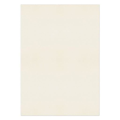 PREMIUM Business Photo Paper 120 gsm Cream Pack of 250