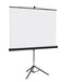 Bi-Office Projector Screen 2440 x 2440mm Portable Folding Tripod base