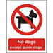 Prohibition Sign No Dogs Plastic 40 x 30 cm