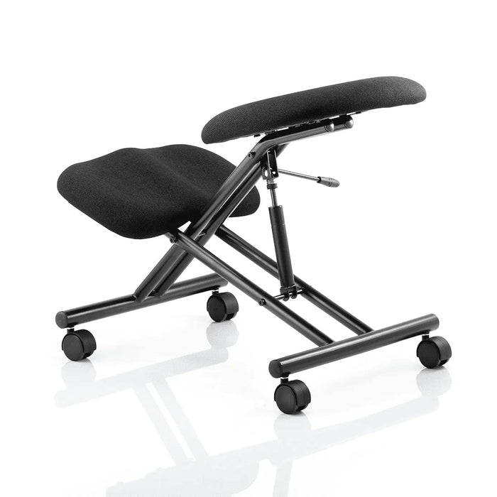 Dynamic Task Operator Chair Without Arms Kneeler Ginseng Chilli Seat, Silver Frame Without Headrest Medium Back