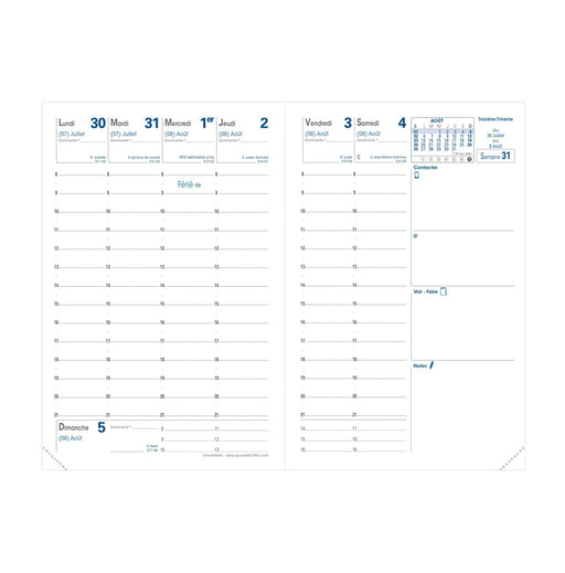 Exacompta Multipart File 58420E A4 Assorted Vinyl Coated Paper 38.5 x 25 cm Pack of 4