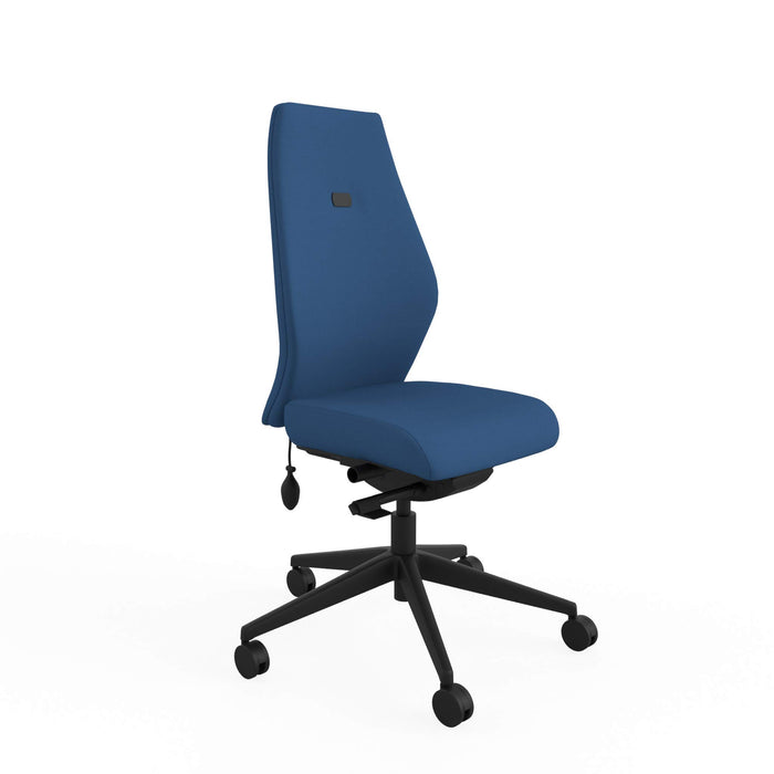 Ergonomic Home Office Posture Chair Fully Upholstered Tri-Curved Posture Backrest Blue Without Arms