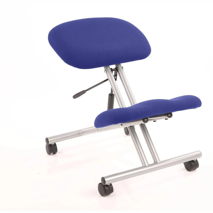 Dynamic Basic Tilt Task Operator Chair Without Arms Kneeler Stevia Blue Back, Silver Frame Without Headrest Medium Back