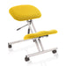 Dynamic Basic Tilt Task Operator Chair Without Arms Kneeler Senna Yellow Back, Silver Frame Without Headrest Medium Back