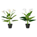 HOMCOM Artificial Plant White 12.5 x 12.5 x 55 mm Pack of 2