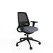 Ergonomic Home Office Deluxe Posture Chair with Tri-Curved Mesh Backrest Height Adjustable Grey 2D Arms