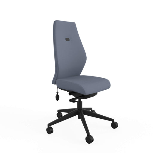 Ergonomic Home Office Posture Chair Fully Upholstered Tri-Curved Posture Backrest Grey Without Arms 1050 x 490 x 480-570 mm