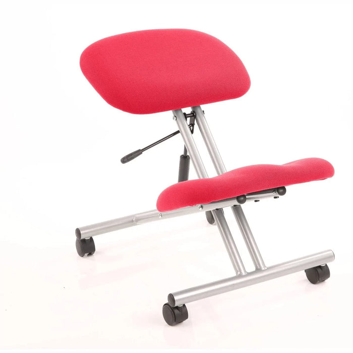 Dynamic Basic Tilt Task Operator Chair Without Arms Kneeling Stool Bergamot Cherry Back, Silver Frame Without Headrest Medium Back