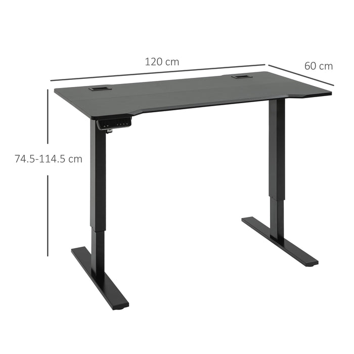 Vinsetto Standing Desk Black 600 x 1,145 mm