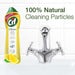 Cif Professional Cream Cleaner 500ml