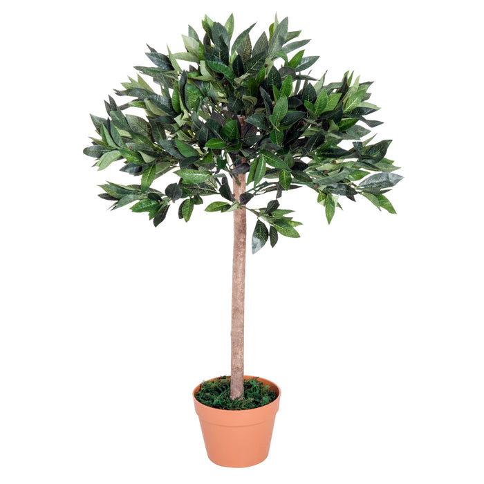 OutSunny Olive Tree Outdoors Water proof Green, Orange 900 mm