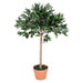 OutSunny Olive Tree Outdoors Water proof Green, Orange 900 mm