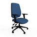 Ergonomic Home Office Chair with Shaped Dual Curved Backrest Height Adjustable Blue 2D Arms