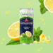 S.Pellegrino Limone & Menta Soft Drink Sparkling Lemon and Mint 12 Bottles of 330 ml