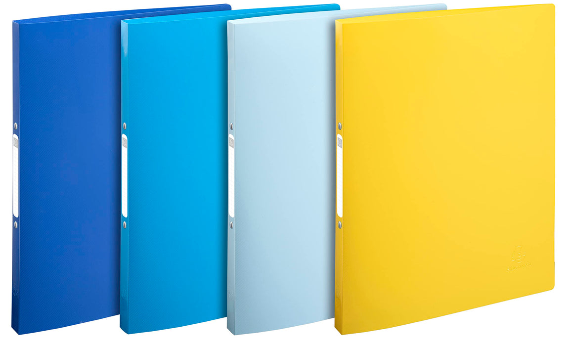 Exacompta BEE BLUE 15 mm Ring Binder PP (Polypropylene) Recyled A4 2 ring Assorted Pack of 4