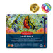 DERWENT Coloured Pencils 700929 Multicolour