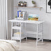 HOMCOM Computer Desk With Bookshelves White