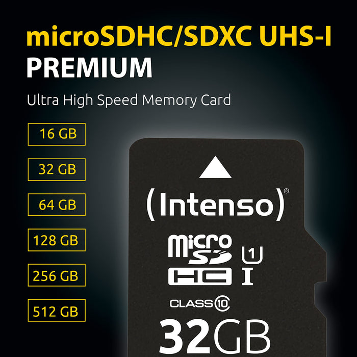 Intenso MicroSDXC Card 3423491