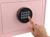 Phoenix Dream Home Safe W/Lock Pink