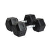 NEO Weights PAIR-HEX-15KG Pack of 2