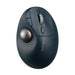 Kensington Pro Fit Ergo TB550 Trackball - Vertical mouse - ergonomic - optical - 9 buttons - wireless - Bluetooth, 2.4 GHz - USB wireless receiver - black, blue-grey - retail - colour box