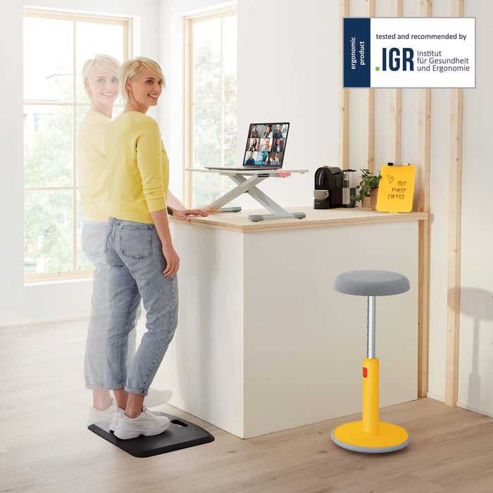 Leitz Ergo Cosy Ergonomic Height Adjustable Standing Desk Converter 6533 ABS/Steel 700 x 48-310 x 350 mm Grey