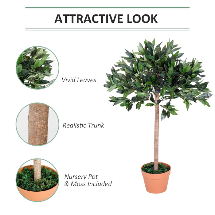 OutSunny Olive Tree Outdoors Water proof Green, Orange 900 mm