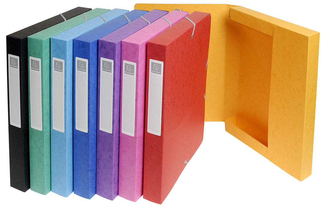 Exacompta Filing Box 50300E A4 25 mm Assorted Glossy Card Pack of 8