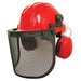 Forestry Helmet Kit YS-4SH-3MZ-5FB-20